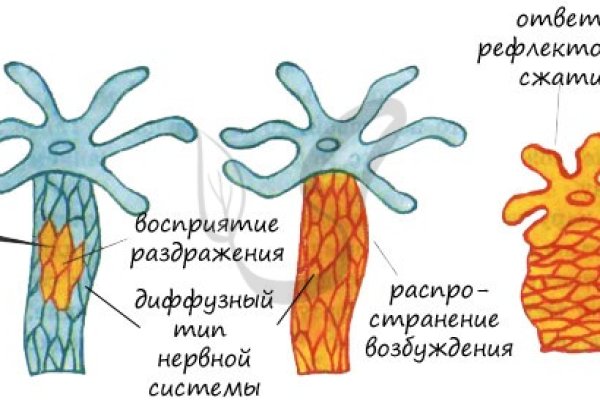 Кракен точка ат